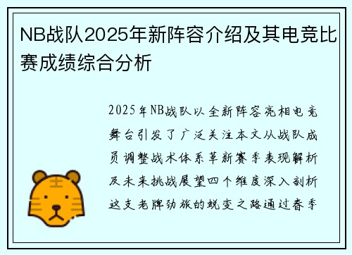 NB战队2025年新阵容介绍及其电竞比赛成绩综合分析